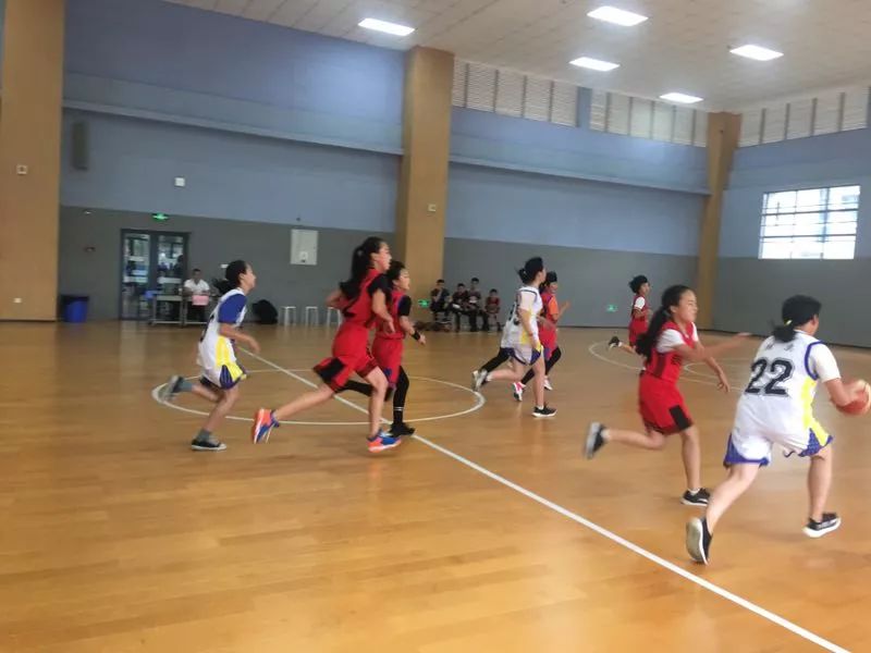  篮球装备市场火爆，球迷消费热情高涨